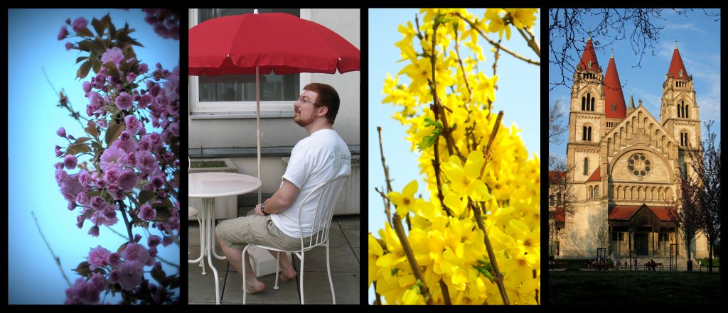spring1 spring1
