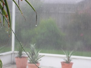 rain